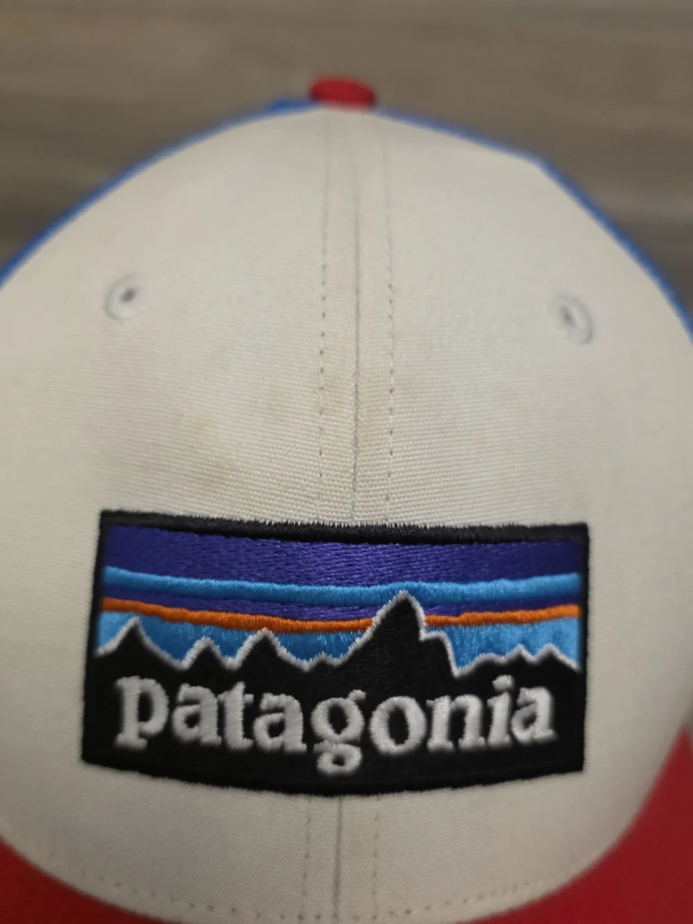 Patagonia trucker hat